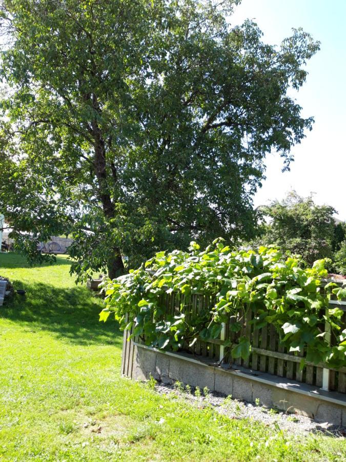 Ferienwohnung Im Seidlerhof Mit Balkon Und Garten Röhrnbach Eksteriør bilde