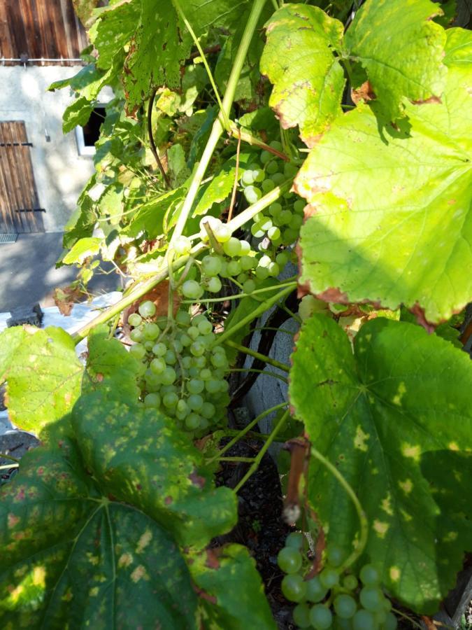 Ferienwohnung Im Seidlerhof Mit Balkon Und Garten Röhrnbach Eksteriør bilde