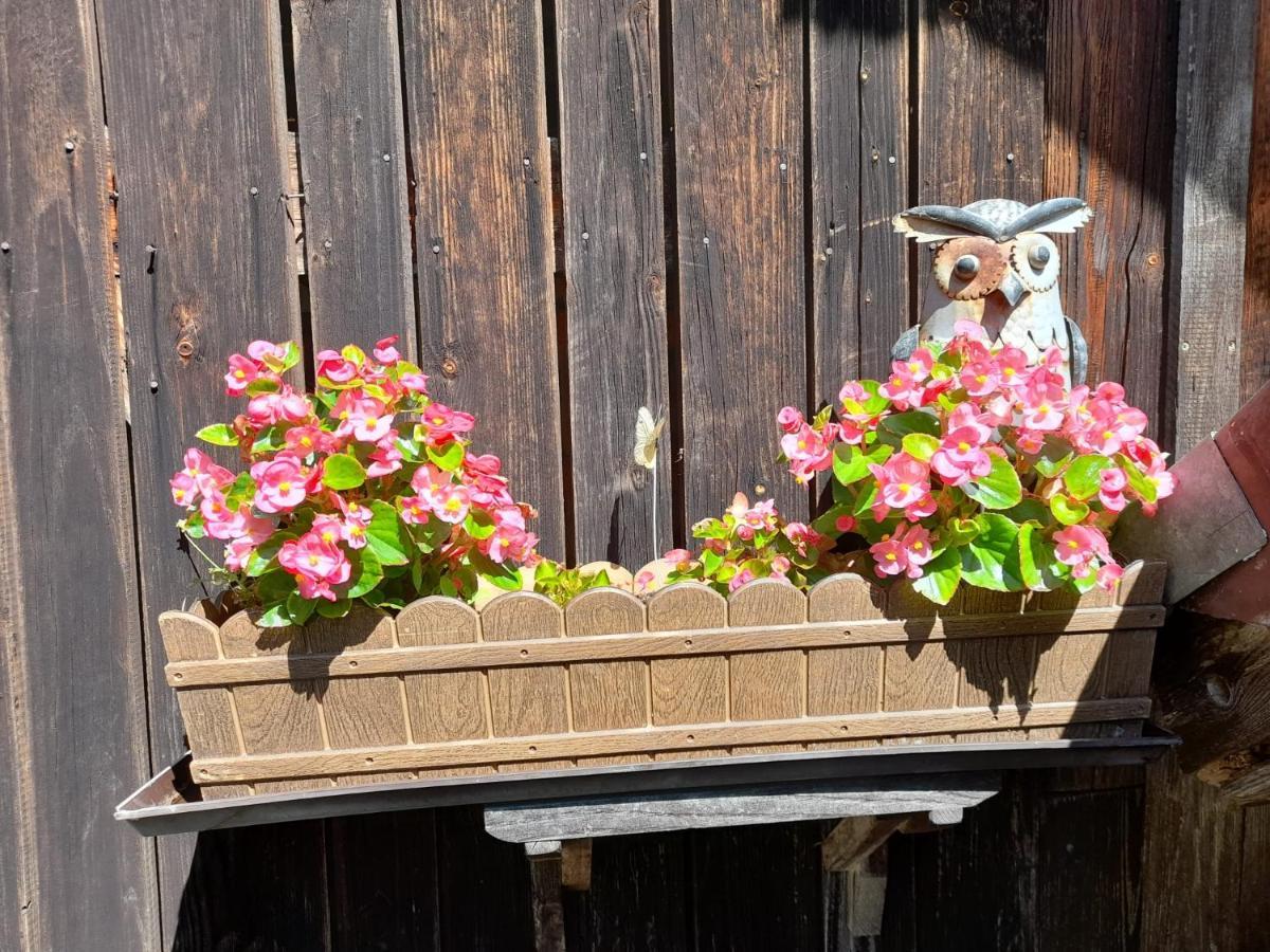 Ferienwohnung Im Seidlerhof Mit Balkon Und Garten Röhrnbach Eksteriør bilde