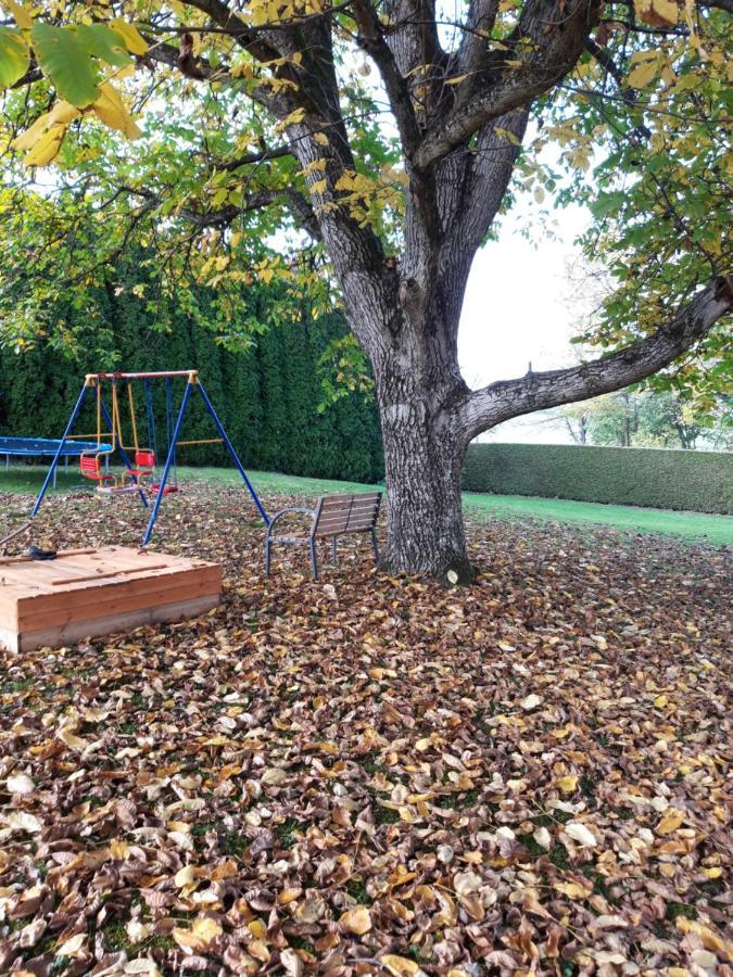 Ferienwohnung Im Seidlerhof Mit Balkon Und Garten Röhrnbach Eksteriør bilde